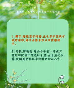 小众送妈妈的花有哪些花