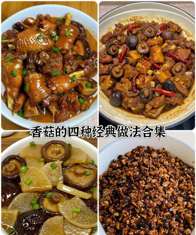 香菇怎么吃香菇种植