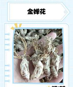 小众送妈妈的花有哪些花