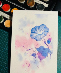 小众送妈妈的花有哪些花