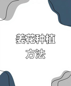 小众送妈妈的花有哪些花