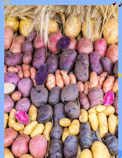 马铃薯遇到什么颜色 马铃薯遇到什么颜色