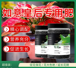 小众送妈妈的花有哪些花