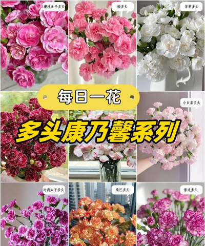 小众送妈妈的花有哪些花