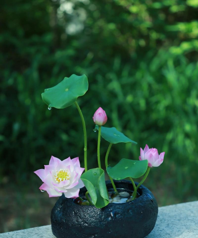 小众送妈妈的花有哪些花