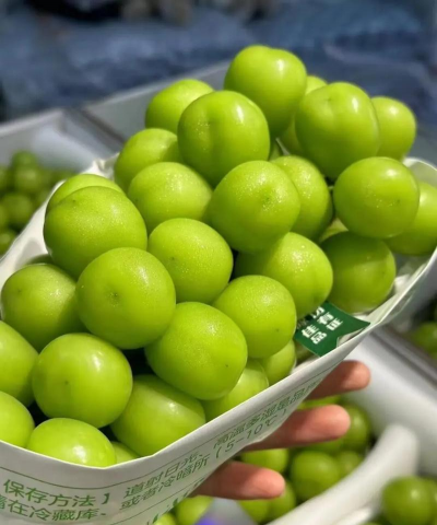 小众送妈妈的花有哪些花