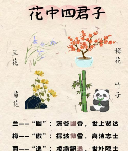 小众送妈妈的花有哪些花