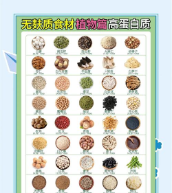 食用植物新品种有哪些