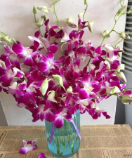 小众送妈妈的花有哪些花