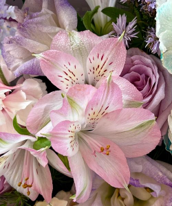 小众送妈妈的花有哪些花