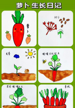 小众送妈妈的花有哪些花