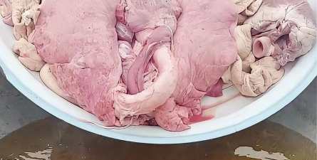 小众送妈妈的花有哪些花