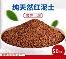 小众送妈妈的花有哪些花