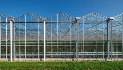 小众送妈妈的花有哪些花