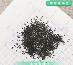 小众送妈妈的花有哪些花