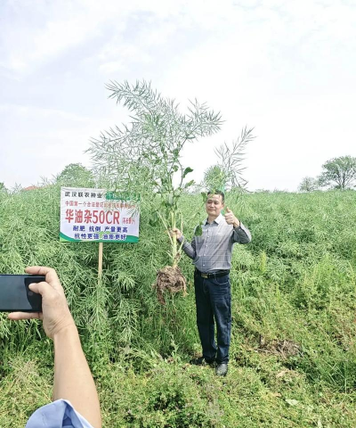 小众送妈妈的花有哪些花