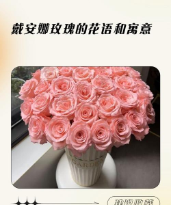 小众送妈妈的花有哪些花