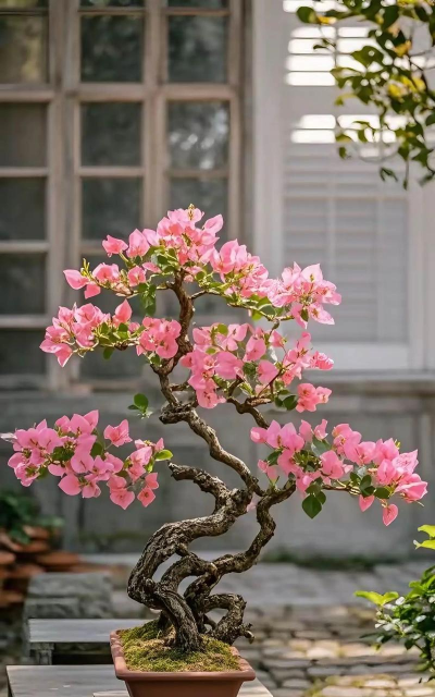 小众送妈妈的花有哪些花