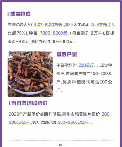 黄连种植技术和亩收益