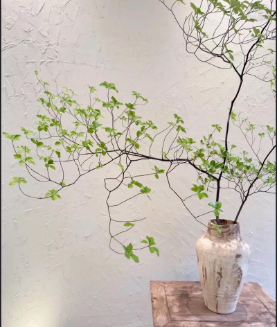 小众送妈妈的花有哪些花