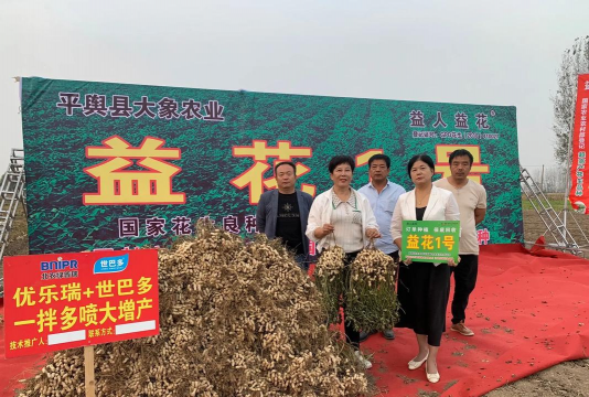 小众送妈妈的花有哪些花