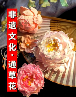 通草花是什么材料做的