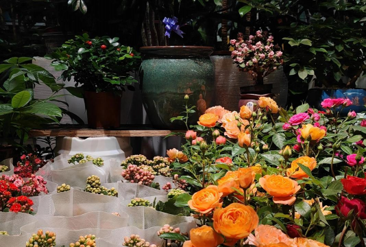 小众送妈妈的花有哪些花