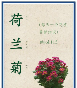 小众送妈妈的花有哪些花