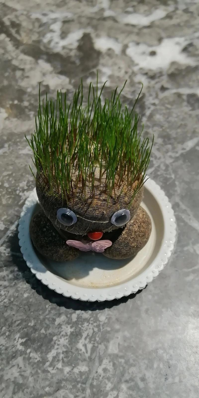 小众送妈妈的花有哪些花