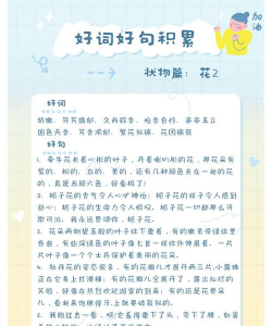 小众送妈妈的花有哪些花