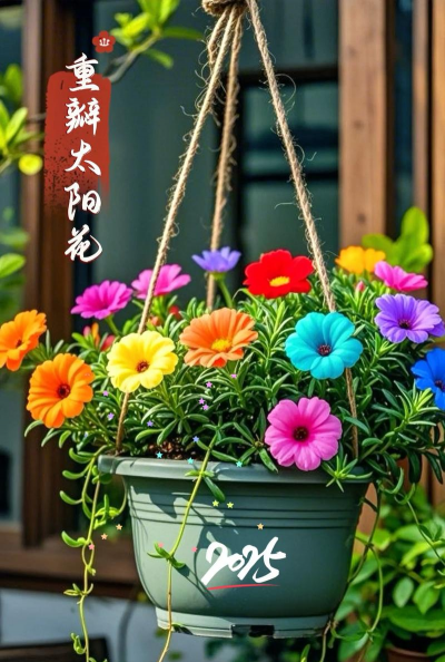 小众送妈妈的花有哪些花