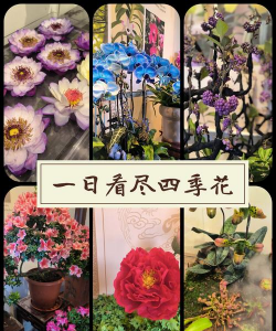 小众送妈妈的花有哪些花