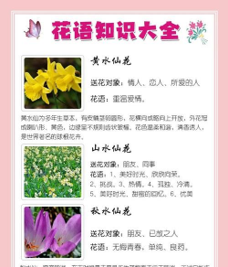 小众送妈妈的花有哪些花