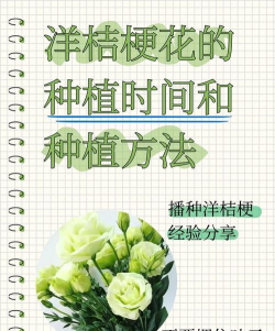 小众送妈妈的花有哪些花