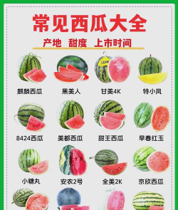 西瓜的种类