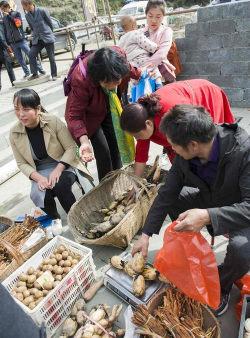 小众送妈妈的花有哪些花
