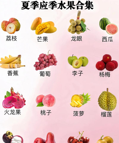 水果有哪些