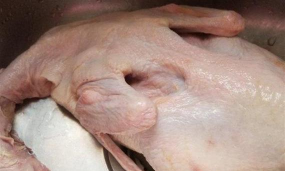 鸭子上面的小细毛怎么去掉