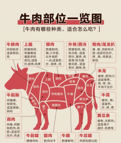 牛在什么情况下会吃肉