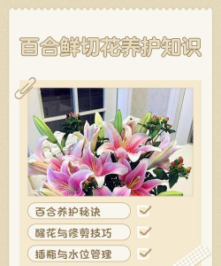 小众送妈妈的花有哪些花