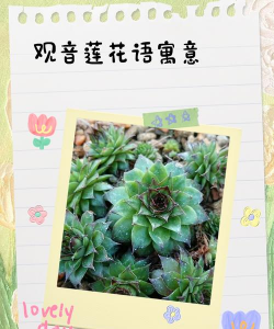 小众送妈妈的花有哪些花