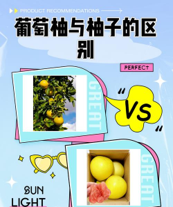 葡萄柚是柚子跟葡萄的杂交吗