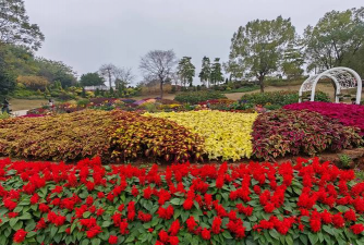 南宁三环公园有哪些花