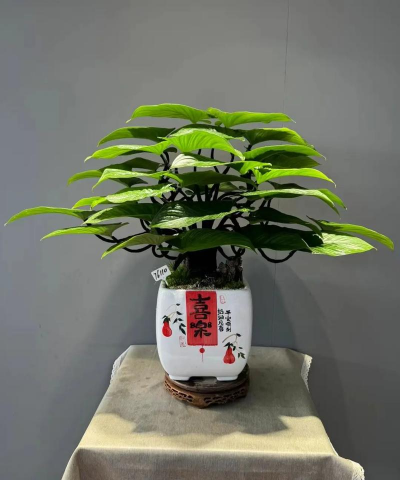 小众送妈妈的花有哪些花