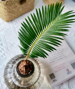 小众送妈妈的花有哪些花