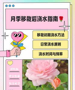 小众送妈妈的花有哪些花