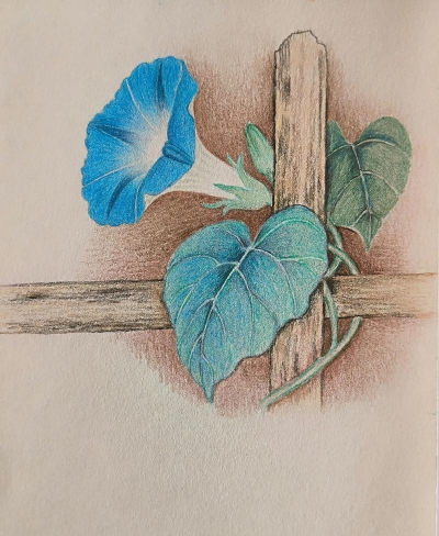 小众送妈妈的花有哪些花