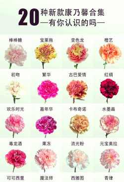 小众送妈妈的花有哪些花
