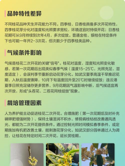 小众送妈妈的花有哪些花