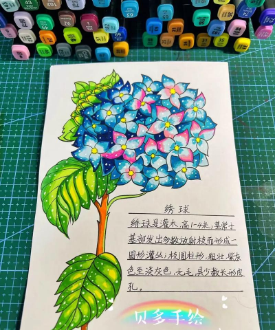小众送妈妈的花有哪些花